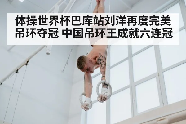 体操世界杯巴库站刘洋再度完美吊环夺冠 中国吊环王成就六连冠