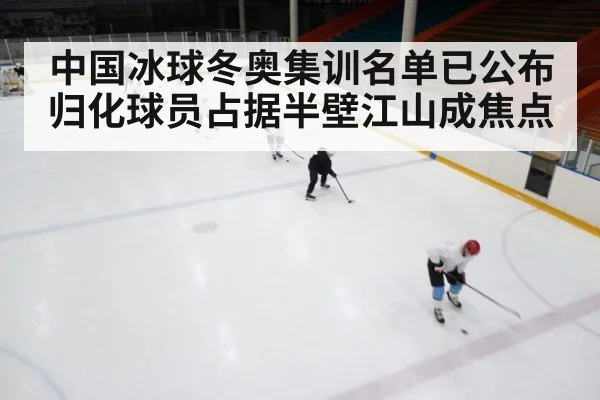中国冰球冬奥集训名单已公布 归化球员占据半壁江山成焦点