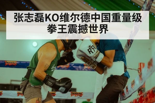 张志磊KO维尔德中国重量级拳王震撼世界